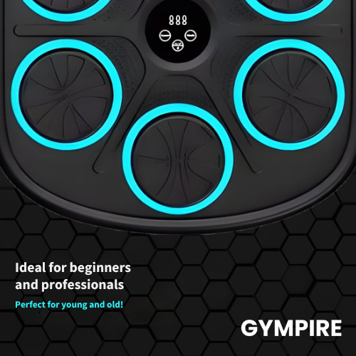 PunchHome Boxing Machine